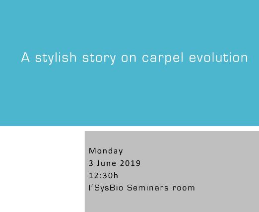 A stylish story on carpel evolution